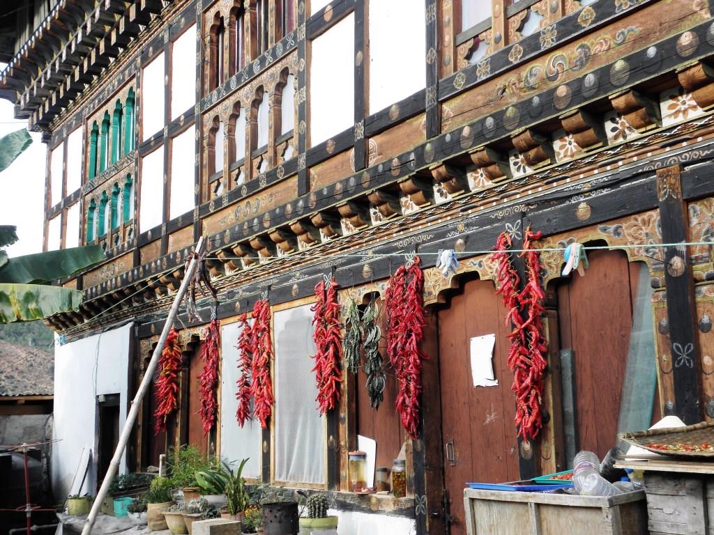 Paro - 2015